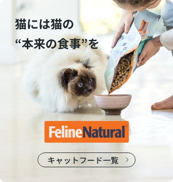 猫には猫の“本来の食事”を