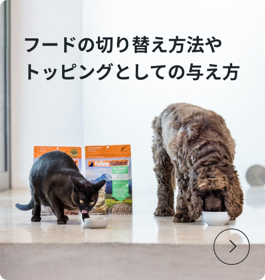 フードの切り替え方法やトッピングとしての与え方