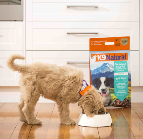 子犬から始めたい生食