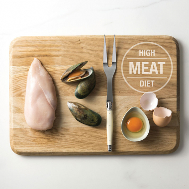 子猫から始めたい生食