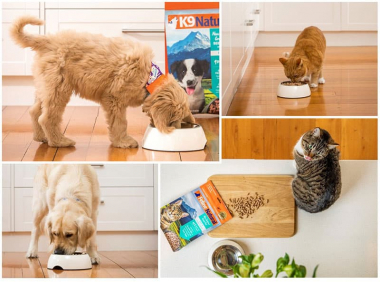 給与量はみんなそれぞれ！ 体の状態に合わせた与え方