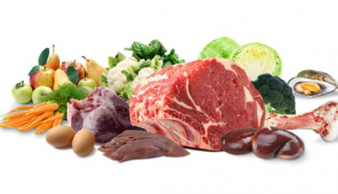 キャットフードの原材料は色々あるけど 猫にとっては、どちらが正解？ 食材の栄養「動物性」と「植物性」の違い