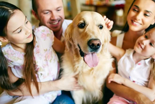 シニア期の犬に､本当に必要な食事とは？