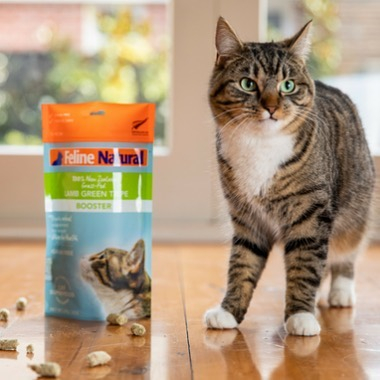 猫用グリーントライプとは？