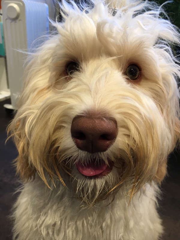 諦めていた涙焼けが...