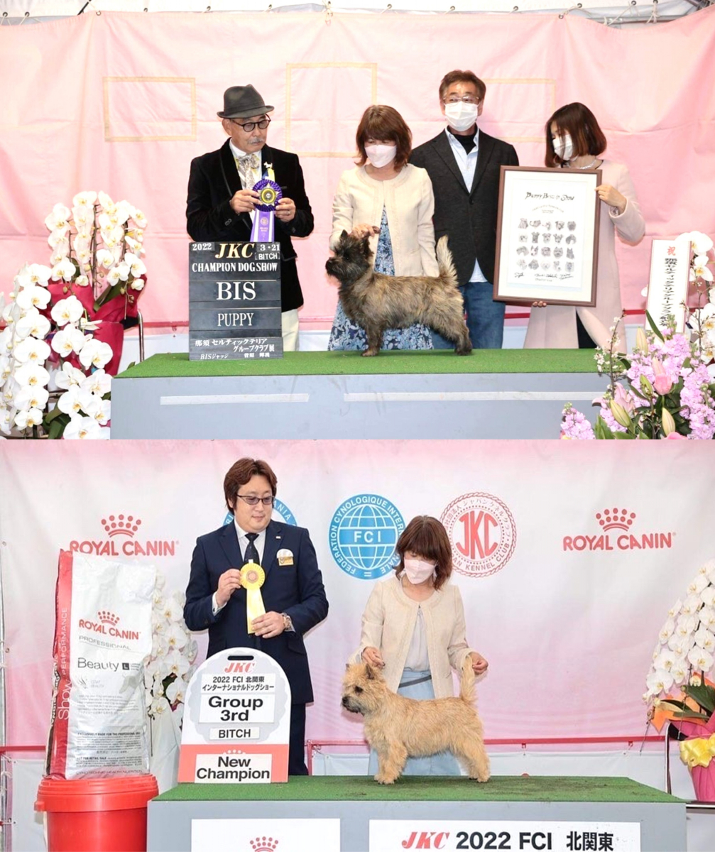 健康な体の基礎作りにはK9ナチュラル