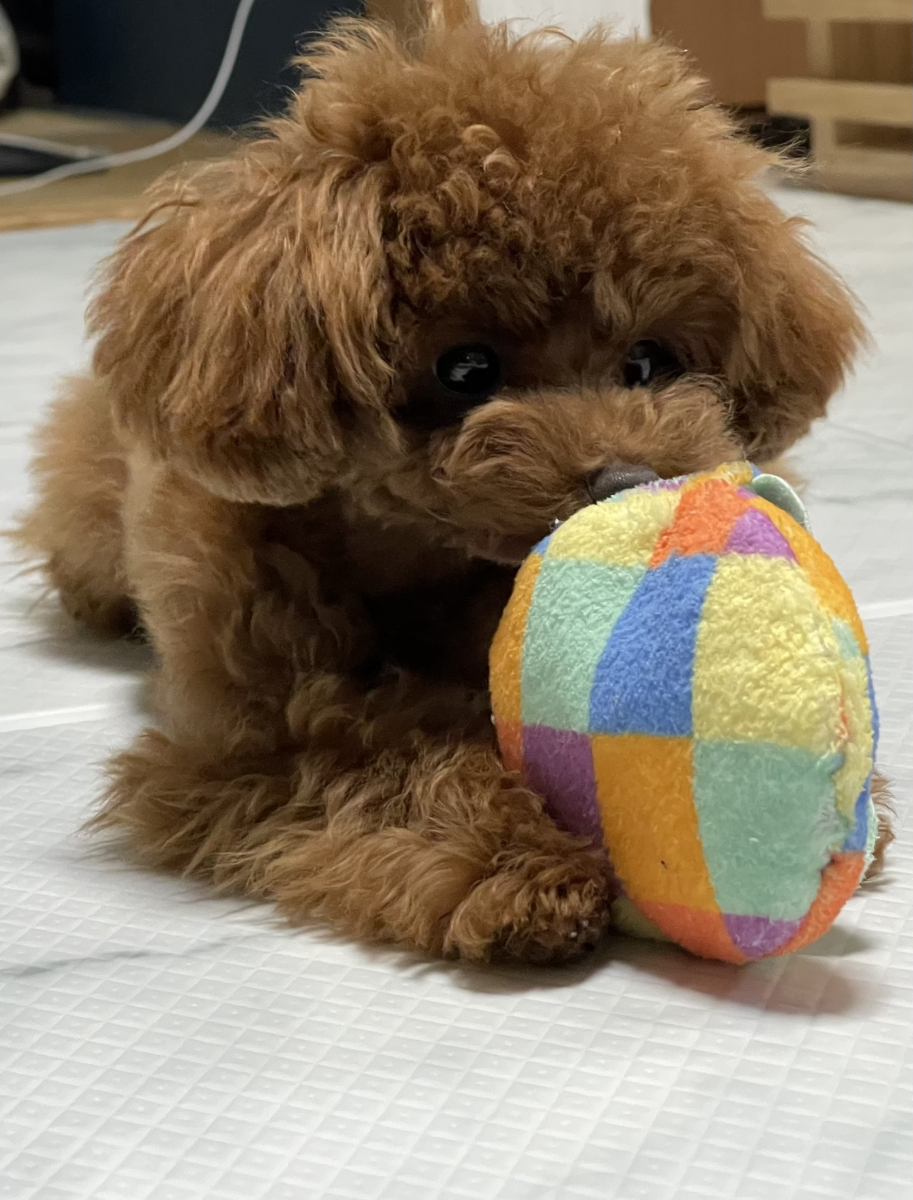 わが子が初めてごはんを欲しがる姿が、今でも忘れられません。