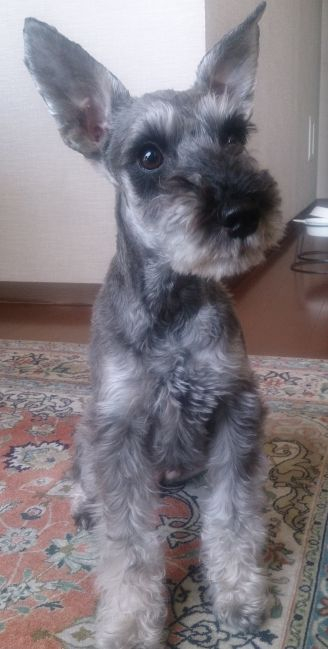 早い段階で体調の変化を感じました。