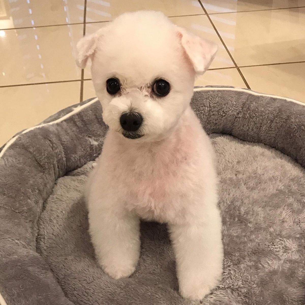 かかりつけの先生も驚いています！