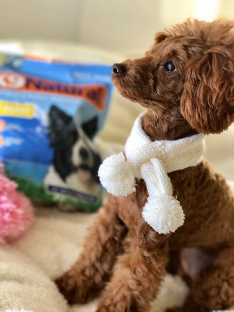 使ってから１ヵ月で大きく変わりました。