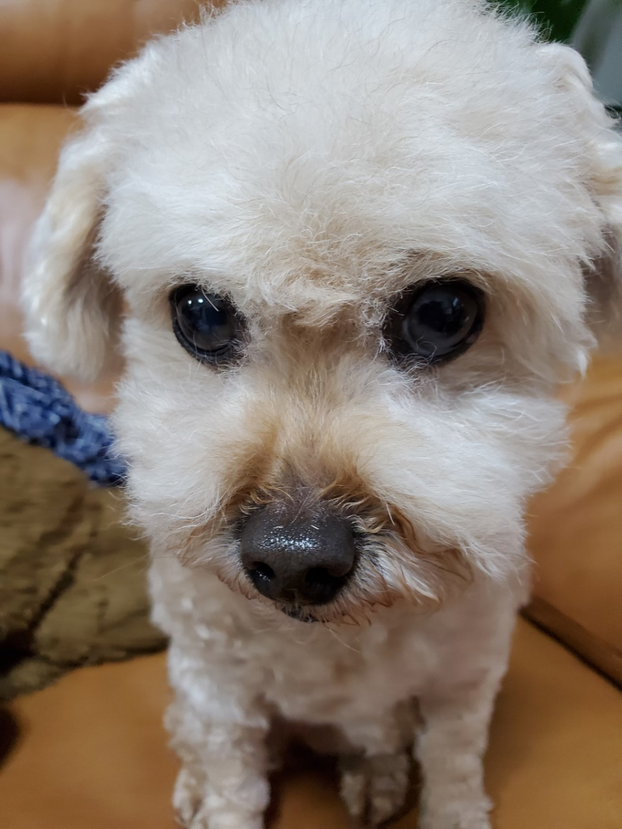 マヌカ・ウォッシュバーを使用して