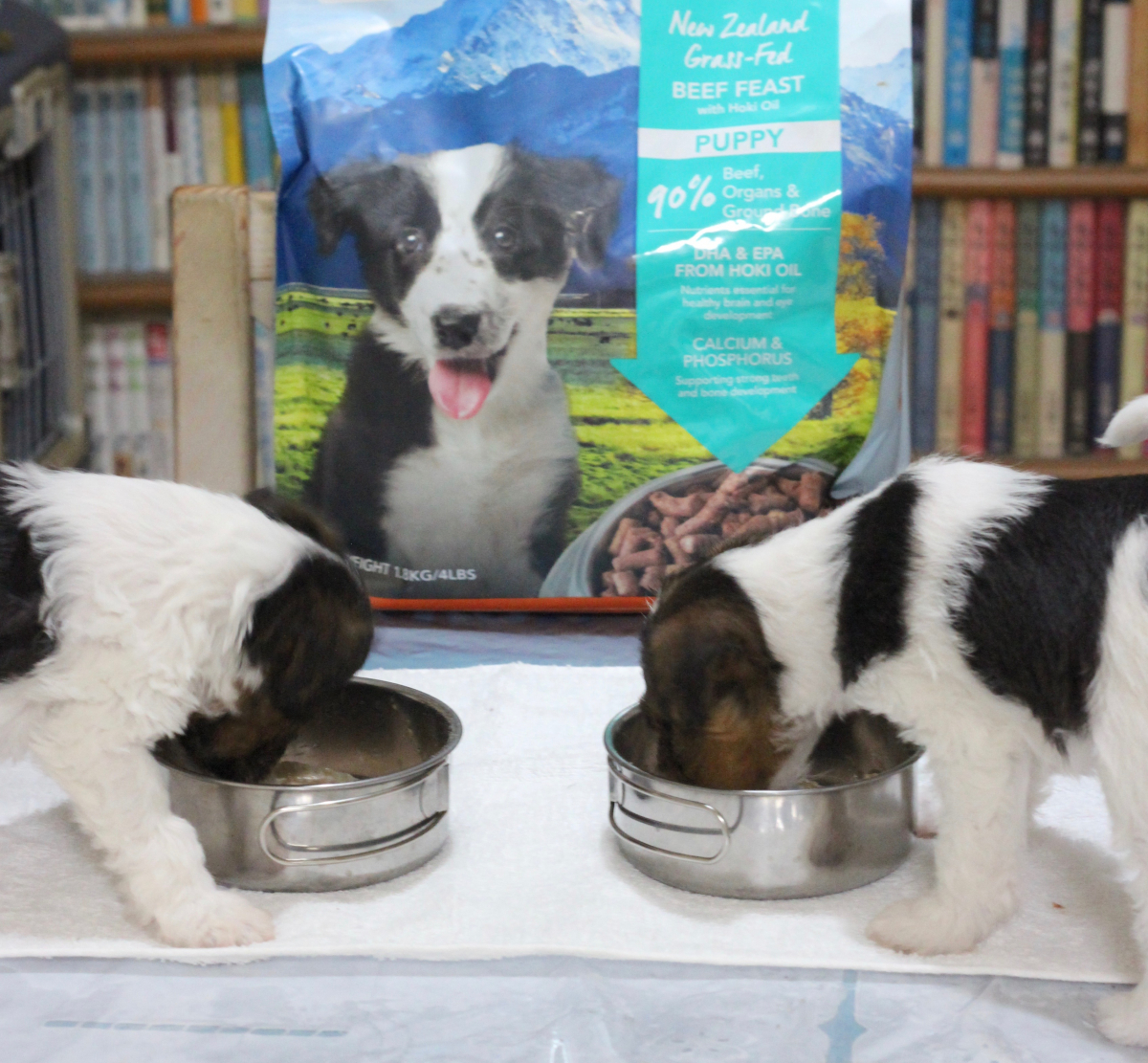 快食快眠快便が健康の証です！