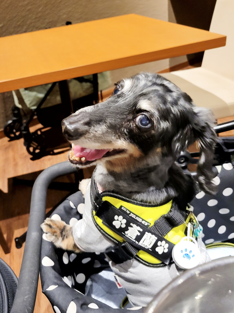 ここまで変化があることに驚き、感謝の気持ちでいっぱいです。