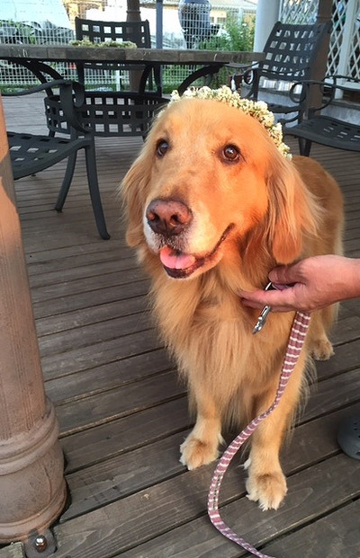 長年悩まされていた「お口のにおい」が、なんと...