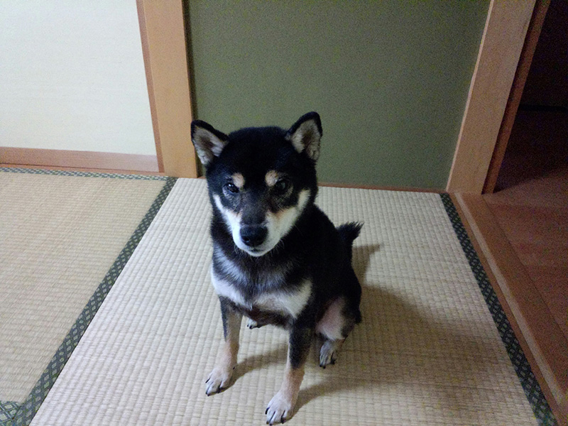 ３年以上続いた炭水化物アレルギーの苦しみから救われました。