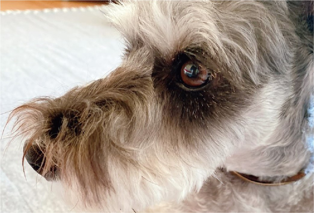 腸活・髭やけに変化がありました！