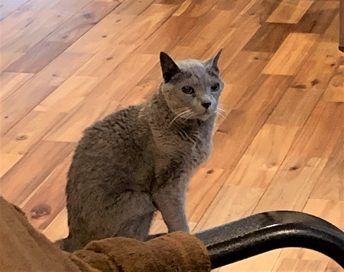 こころからのお礼