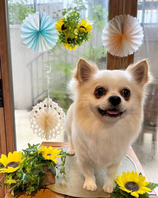 「肥満体」から「健康体」に！