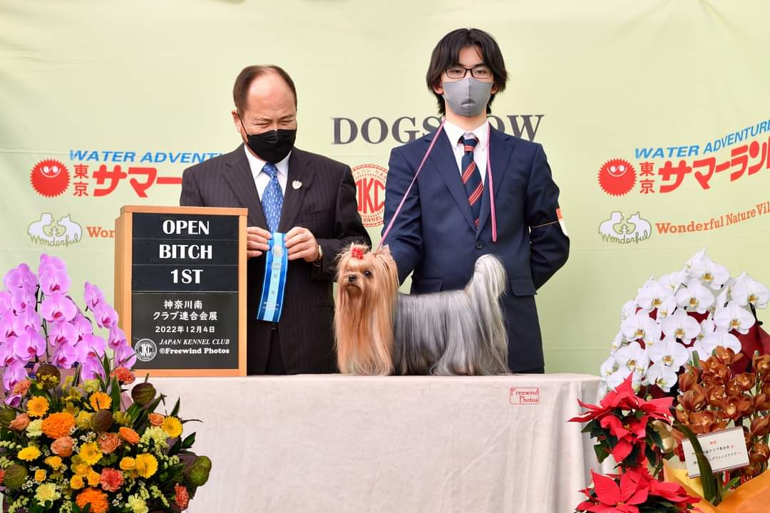 犬の健康は、腸活から！