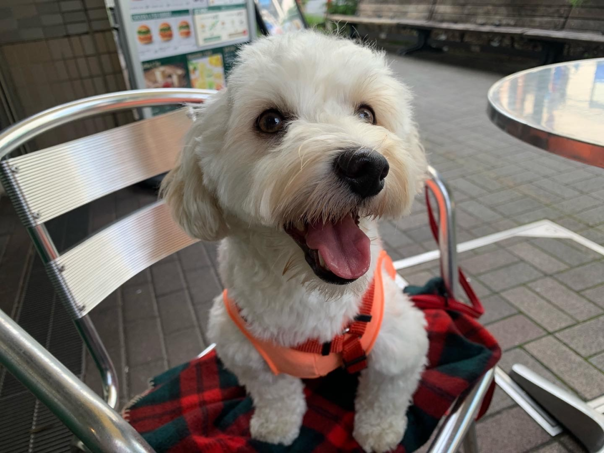 美味しく健康になれるフードに出会えました