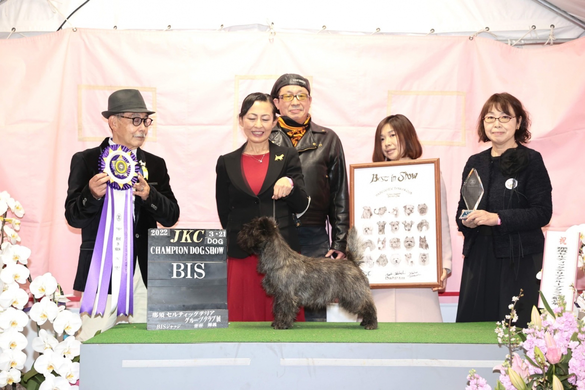 健康な身体作りには、K9フードは信頼できます。