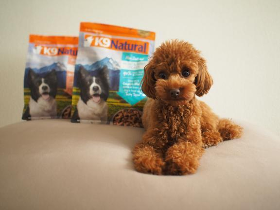 膝が外れる回数が減っただけでなく、ご飯の時間が大好きになりました。