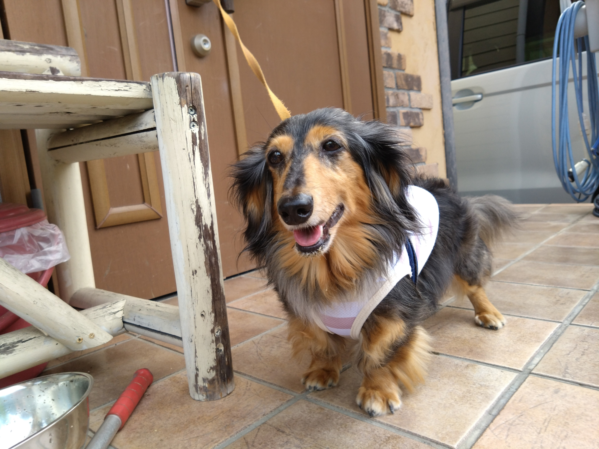 痙攣で悩んでいましたが…