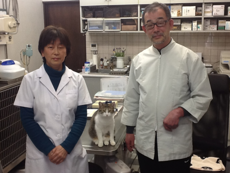 中澤動物診療所