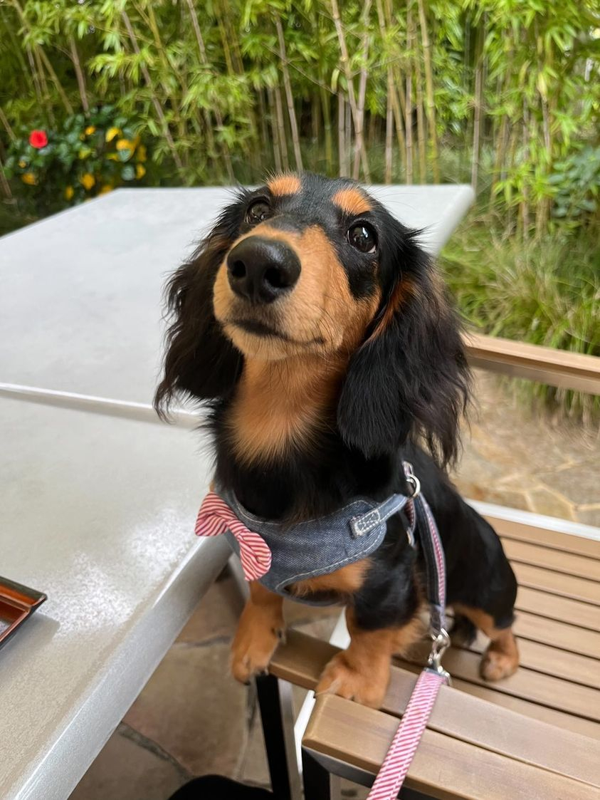 腎臓の数値に嬉しい変化がありました！