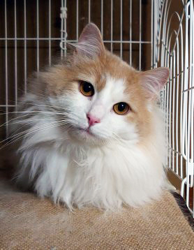 トライプのおかげで...