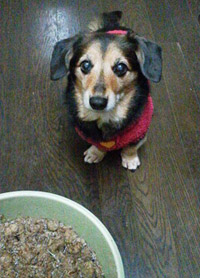 気がつくと、とても健康的で理想的な体型を維持してきていることに気がつきました。