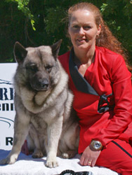 K9ナチュラルによる体の変化は、ドッグショーでも証明されました。