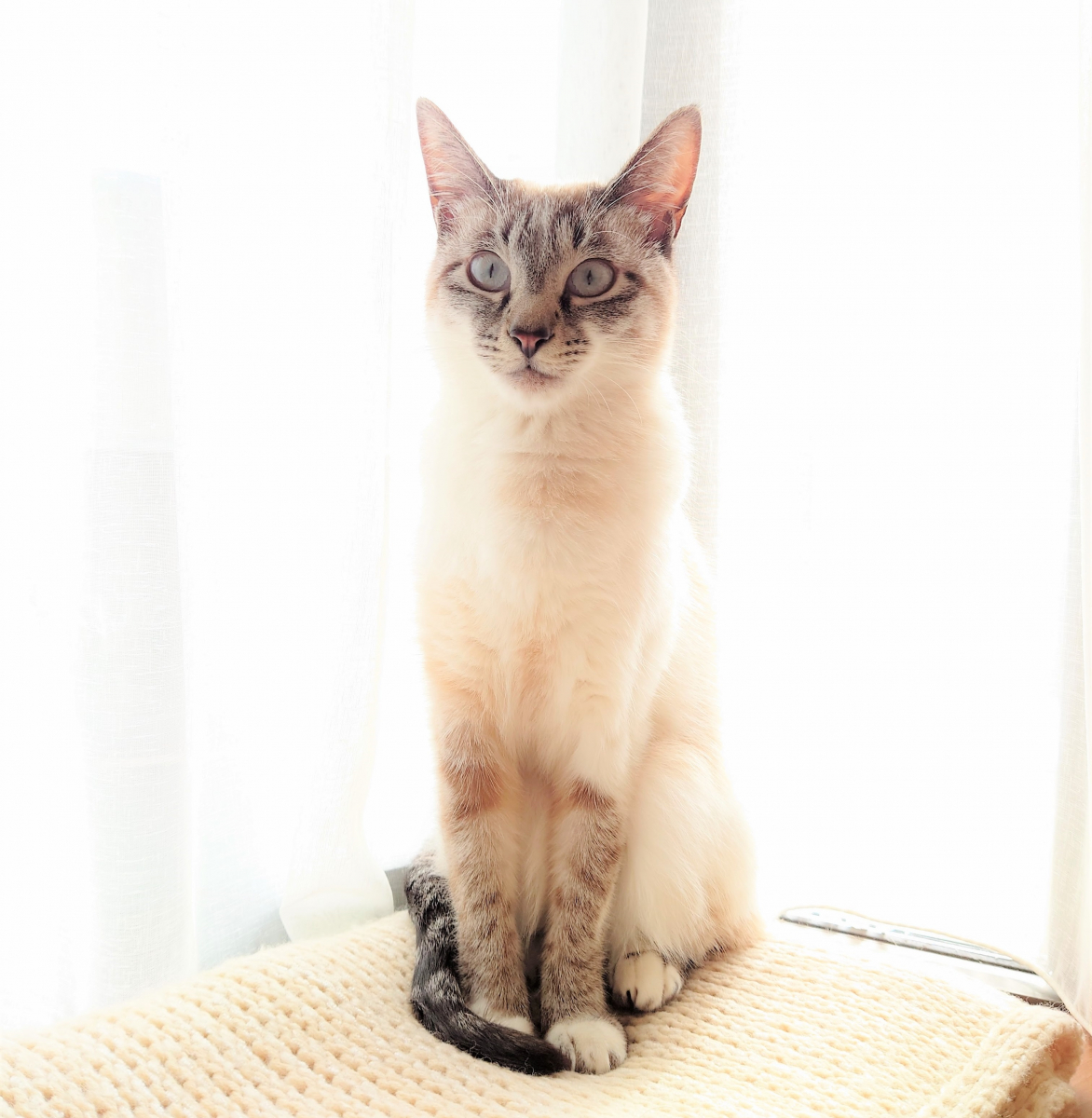 アトピー性皮膚炎だったのが・・・